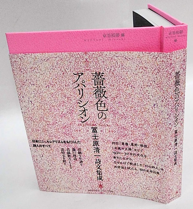 薔薇色のアパリシオン 冨士原清一詩文集成(冨士原清一 京谷裕彰 編 